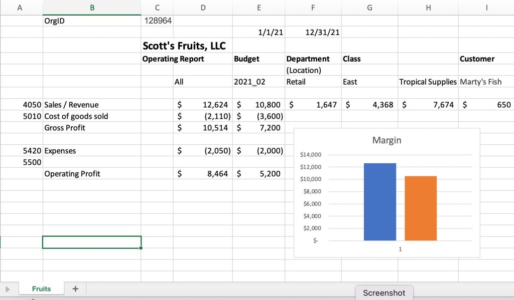 excel quicbooks template with interactive Profit and Loss statement 